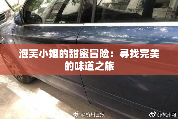 泡芙小姐的甜蜜冒险：寻找完美的味道之旅