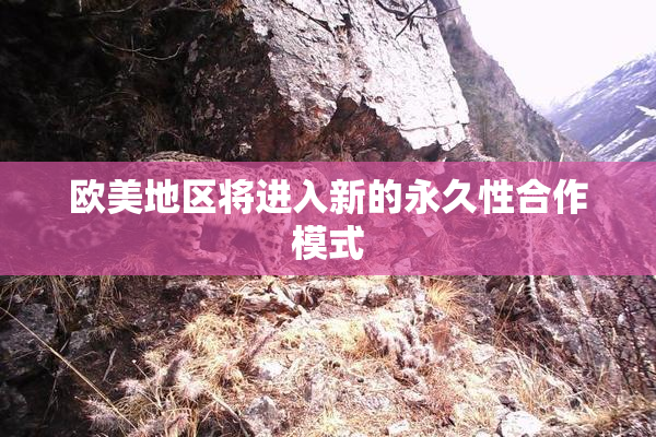欧美地区将进入新的永久性合作模式