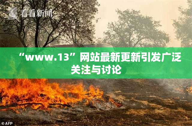“www.13”网站最新更新引发广泛关注与讨论