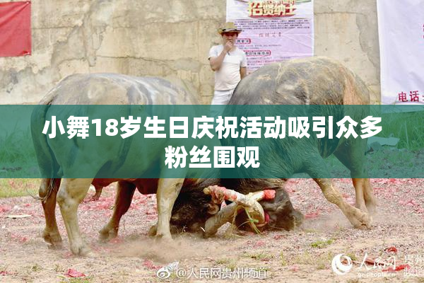 小舞18岁生日庆祝活动吸引众多粉丝围观