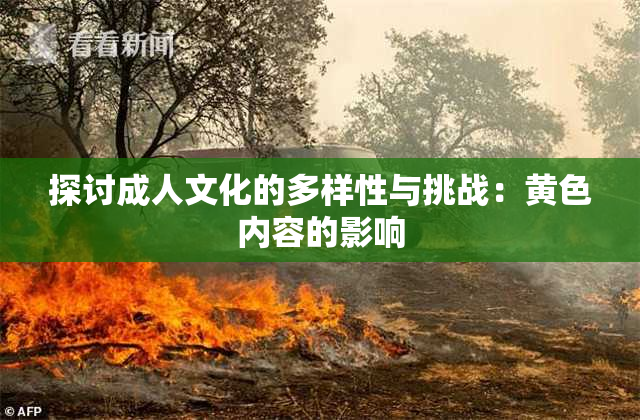 探讨成人文化的多样性与挑战：黄色内容的影响