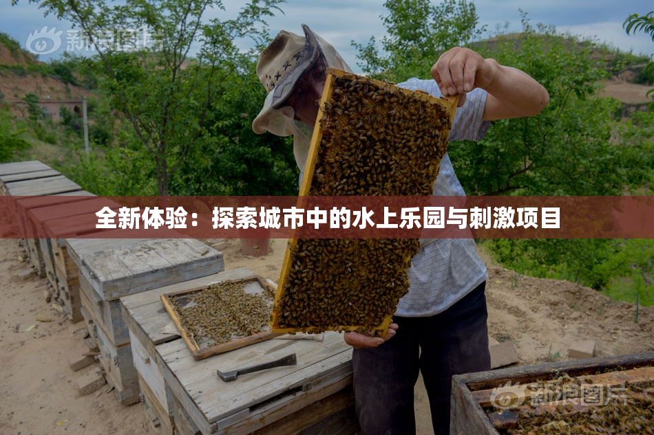 全新体验：探索城市中的水上乐园与刺激项目