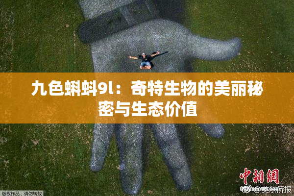 九色蝌蚪9l：奇特生物的美丽秘密与生态价值