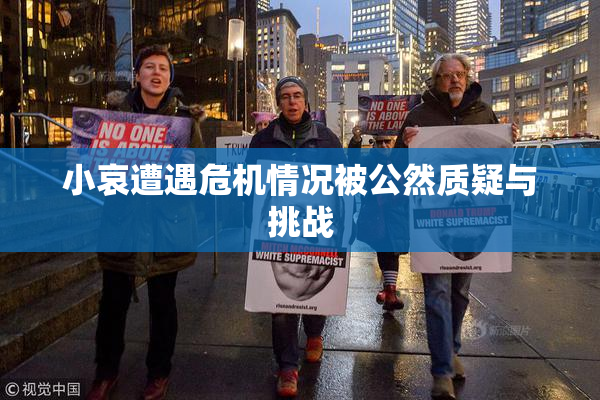 小哀遭遇危机情况被公然质疑与挑战