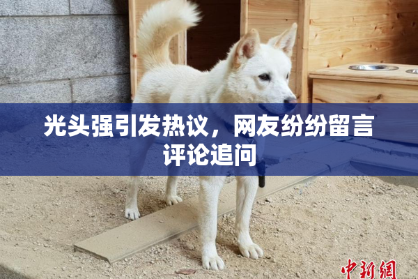 光头强引发热议，网友纷纷留言评论追问