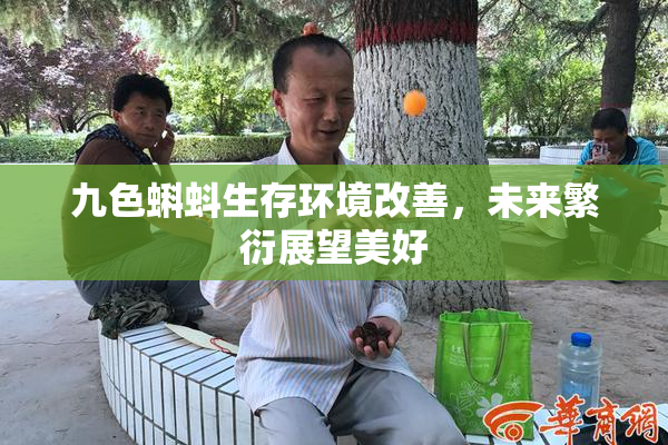 九色蝌蚪生存环境改善，未来繁衍展望美好