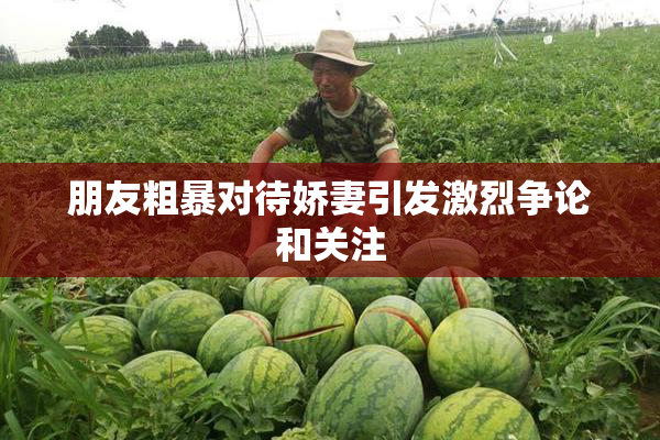 朋友粗暴对待娇妻引发激烈争论和关注