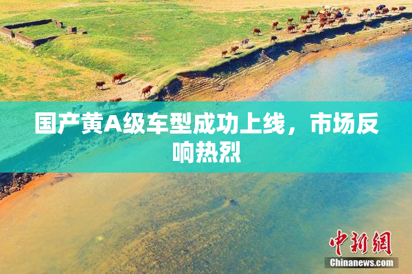 国产黄A级车型成功上线，市场反响热烈