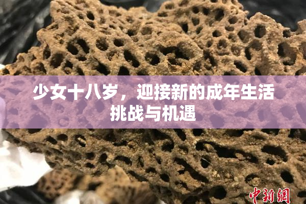 少女十八岁，迎接新的成年生活挑战与机遇