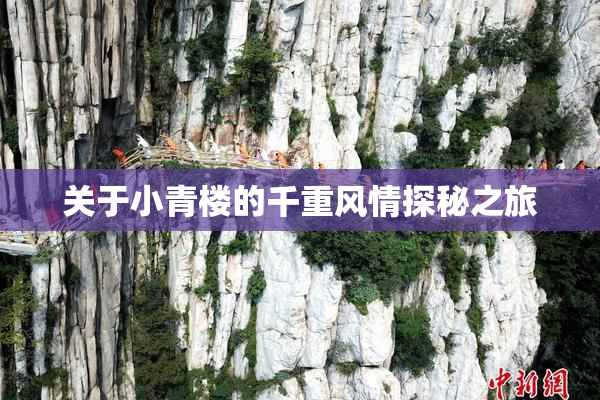 关于小青楼的千重风情探秘之旅