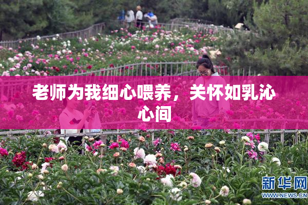 老师为我细心喂养，关怀如乳沁心间