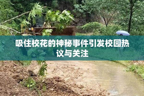 吸住校花的神秘事件引发校园热议与关注