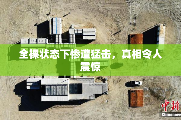 全裸状态下惨遭猛击，真相令人震惊