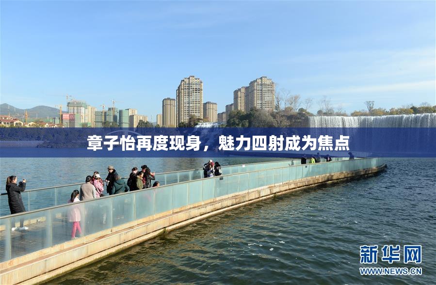 章子怡再度现身，魅力四射成为焦点