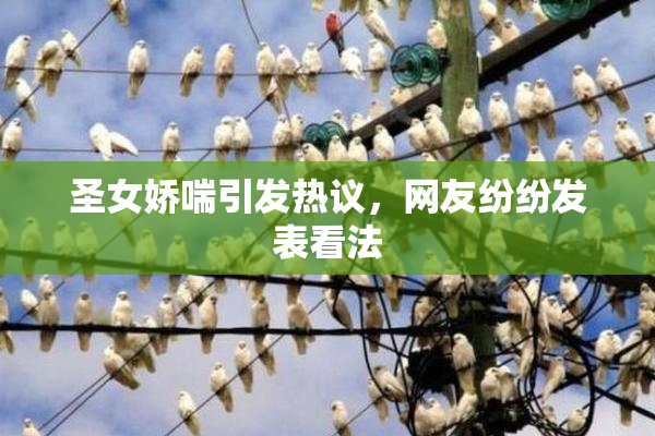 圣女娇喘引发热议，网友纷纷发表看法
