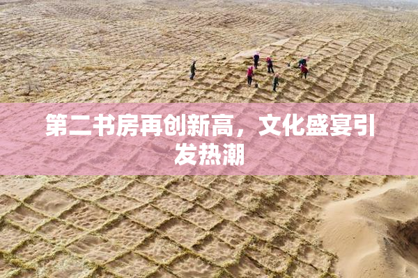 第二书房再创新高，文化盛宴引发热潮