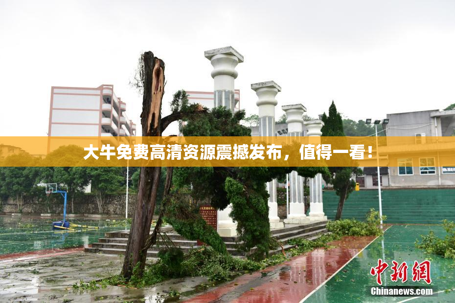 大牛免费高清资源震撼发布，值得一看！