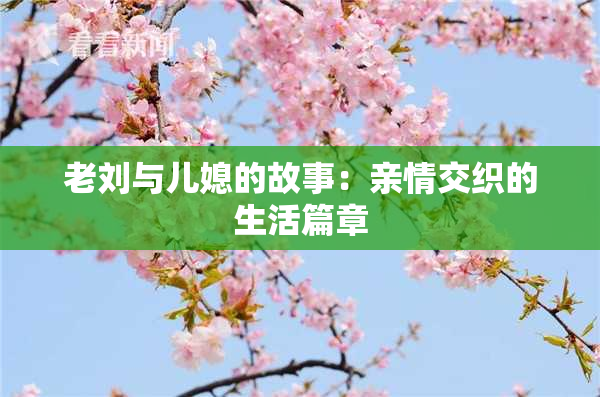 老刘与儿媳的故事：亲情交织的生活篇章