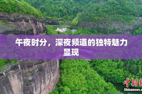 午夜时分，深夜频道的独特魅力显现