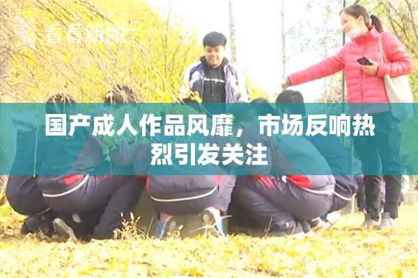 国产成人作品风靡，市场反响热烈引发关注