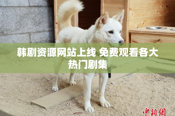 韩剧资源网站上线 免费观看各大热门剧集
