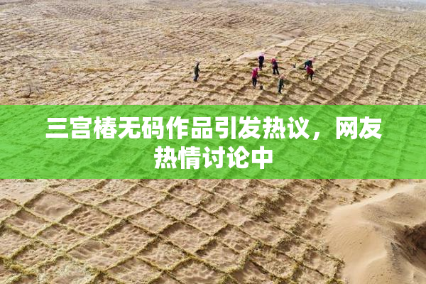 三宫椿无码作品引发热议，网友热情讨论中