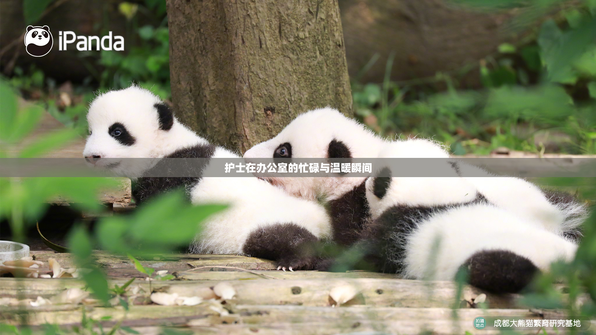 护士在办公室的忙碌与温暖瞬间