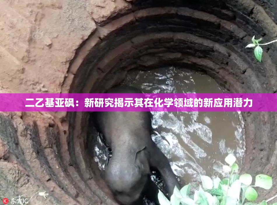 二乙基亚砜：新研究揭示其在化学领域的新应用潜力