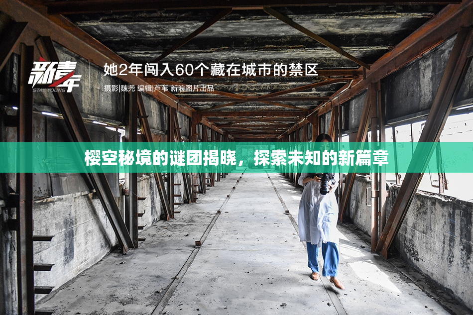 樱空秘境的谜团揭晓，探索未知的新篇章