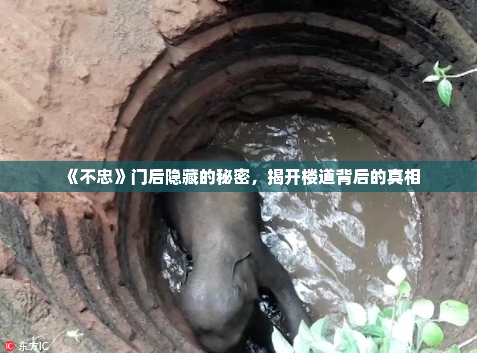 《不忠》门后隐藏的秘密，揭开楼道背后的真相
