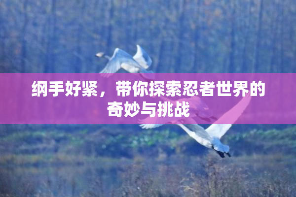 纲手好紧，带你探索忍者世界的奇妙与挑战