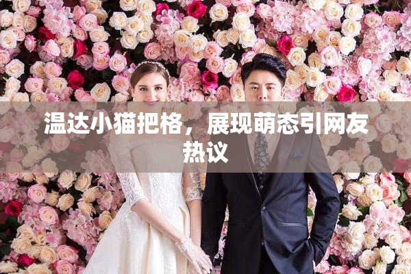 温达小猫把格，展现萌态引网友热议