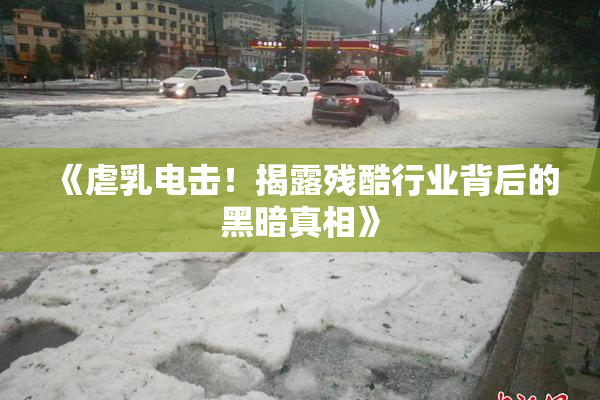 《虐乳电击！揭露残酷行业背后的黑暗真相》