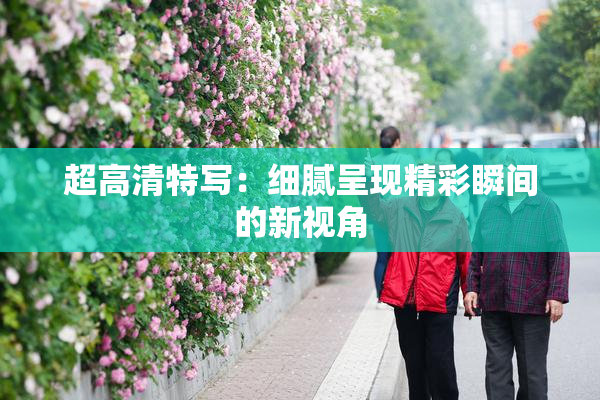 超高清特写：细腻呈现精彩瞬间的新视角