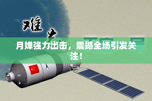 月婵强力出击，震撼全场引发关注！