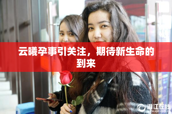 云曦孕事引关注，期待新生命的到来
