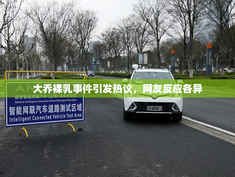 大乔裸乳事件引发热议，网友反应各异