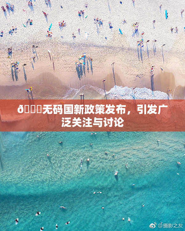 🔞无码国新政策发布，引发广泛关注与讨论