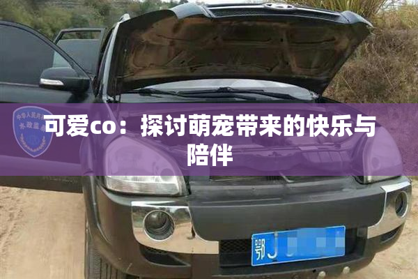 可爱co：探讨萌宠带来的快乐与陪伴