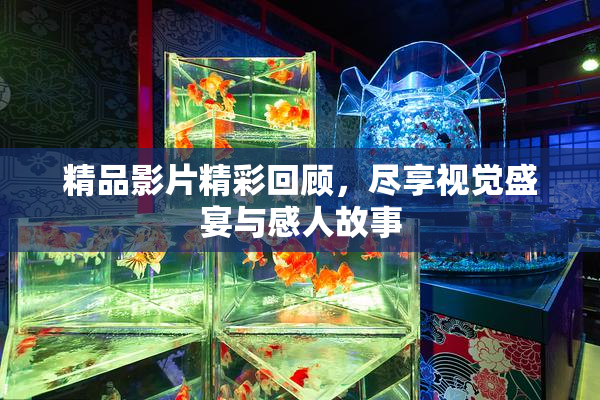精品影片精彩回顾，尽享视觉盛宴与感人故事