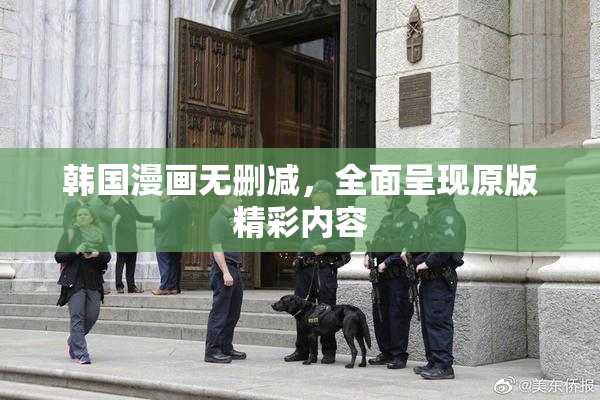 韩国漫画无删减，全面呈现原版精彩内容