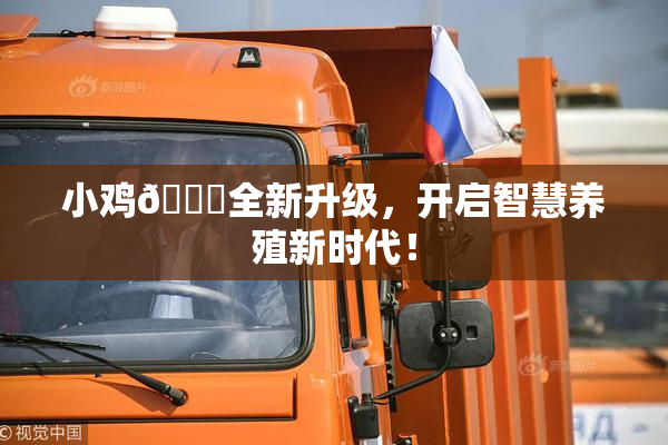 小鸡🐔全新升级，开启智慧养殖新时代！