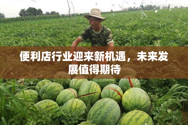 便利店行业迎来新机遇，未来发展值得期待