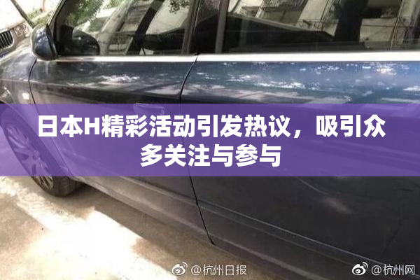 日本H精彩活动引发热议，吸引众多关注与参与