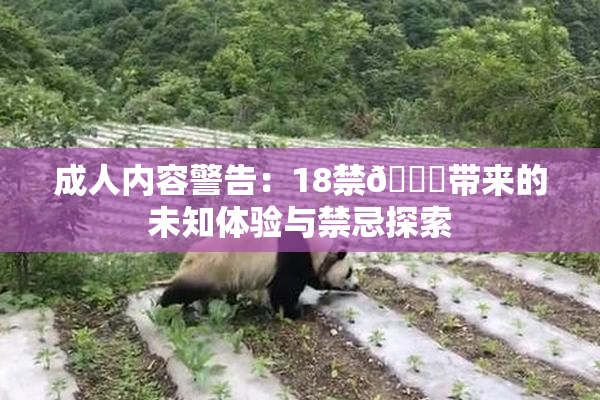 成人内容警告：18禁🍆带来的未知体验与禁忌探索