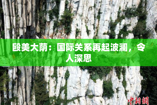 殴美大荫：国际关系再起波澜，令人深思