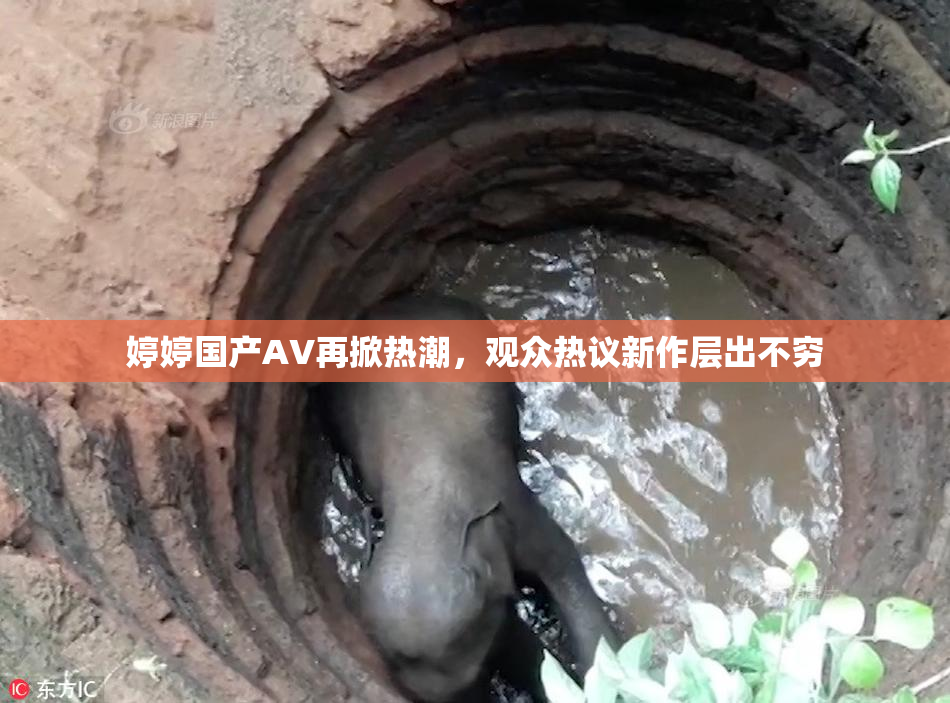 婷婷国产AV再掀热潮，观众热议新作层出不穷