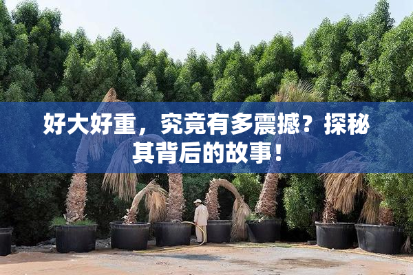 好大好重，究竟有多震撼？探秘其背后的故事！