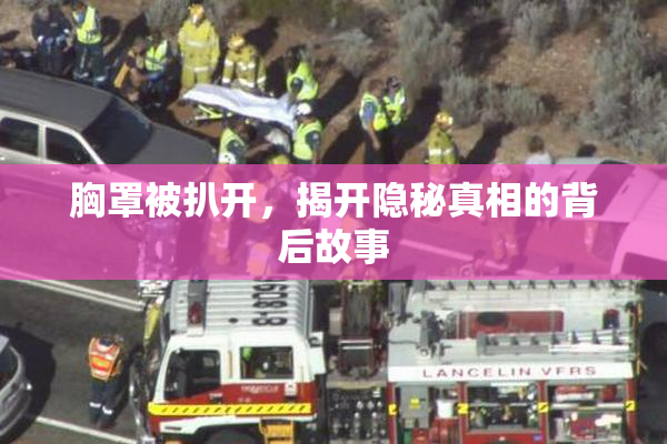 胸罩被扒开，揭开隐秘真相的背后故事