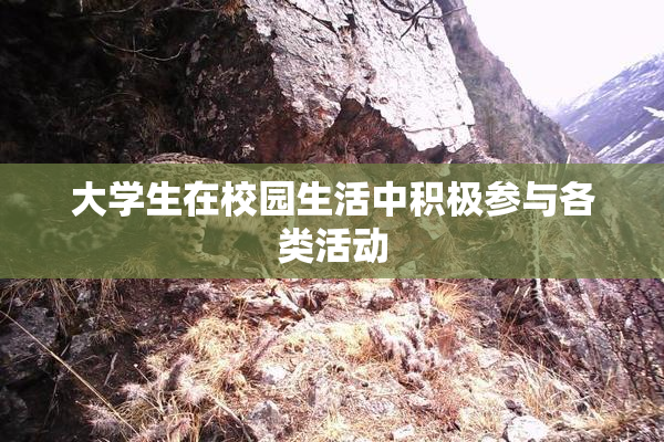 大学生在校园生活中积极参与各类活动